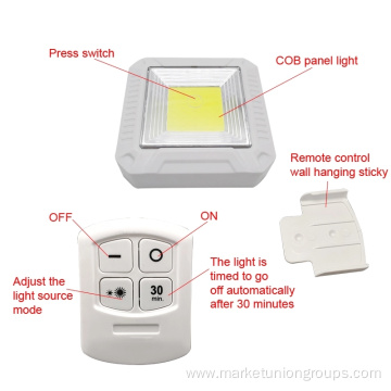 Remote Light